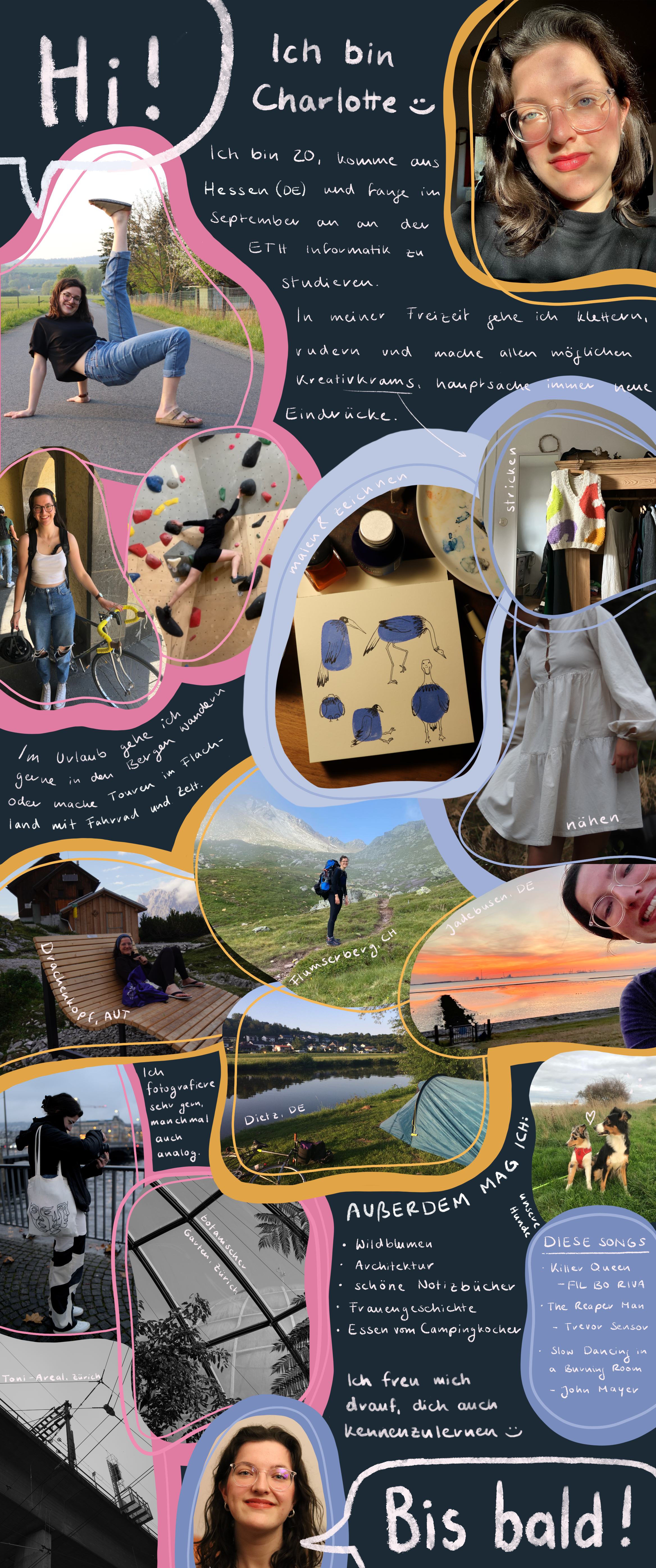 Steckbrief mit Bildern